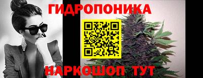 крисы Гудермес