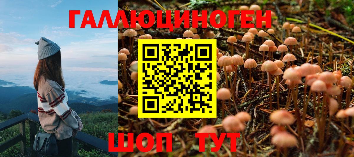 Галлюциногенные грибы мухоморы Реж
