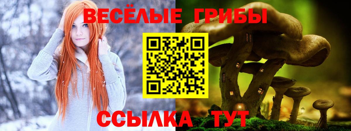 Реж  Галлюциногенные грибы ЛСД  Вход с VPN 